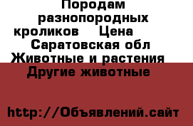 Породам разнопородных кроликов  › Цена ­ 250 - Саратовская обл. Животные и растения » Другие животные   